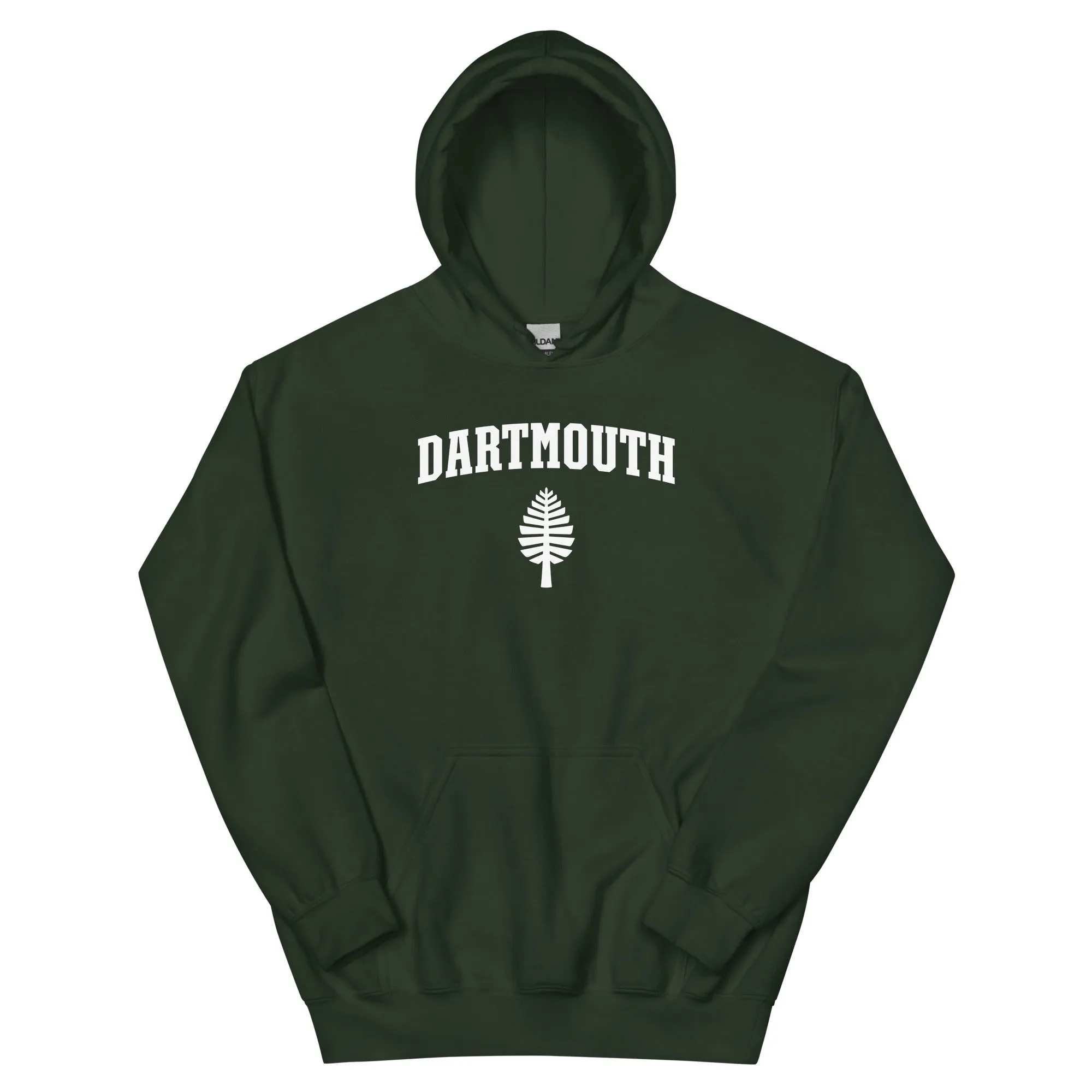 Dartmouth Heritage Hooded Sweatshirt (Hunter) sold by Ivy Sport product image thumbnail 5