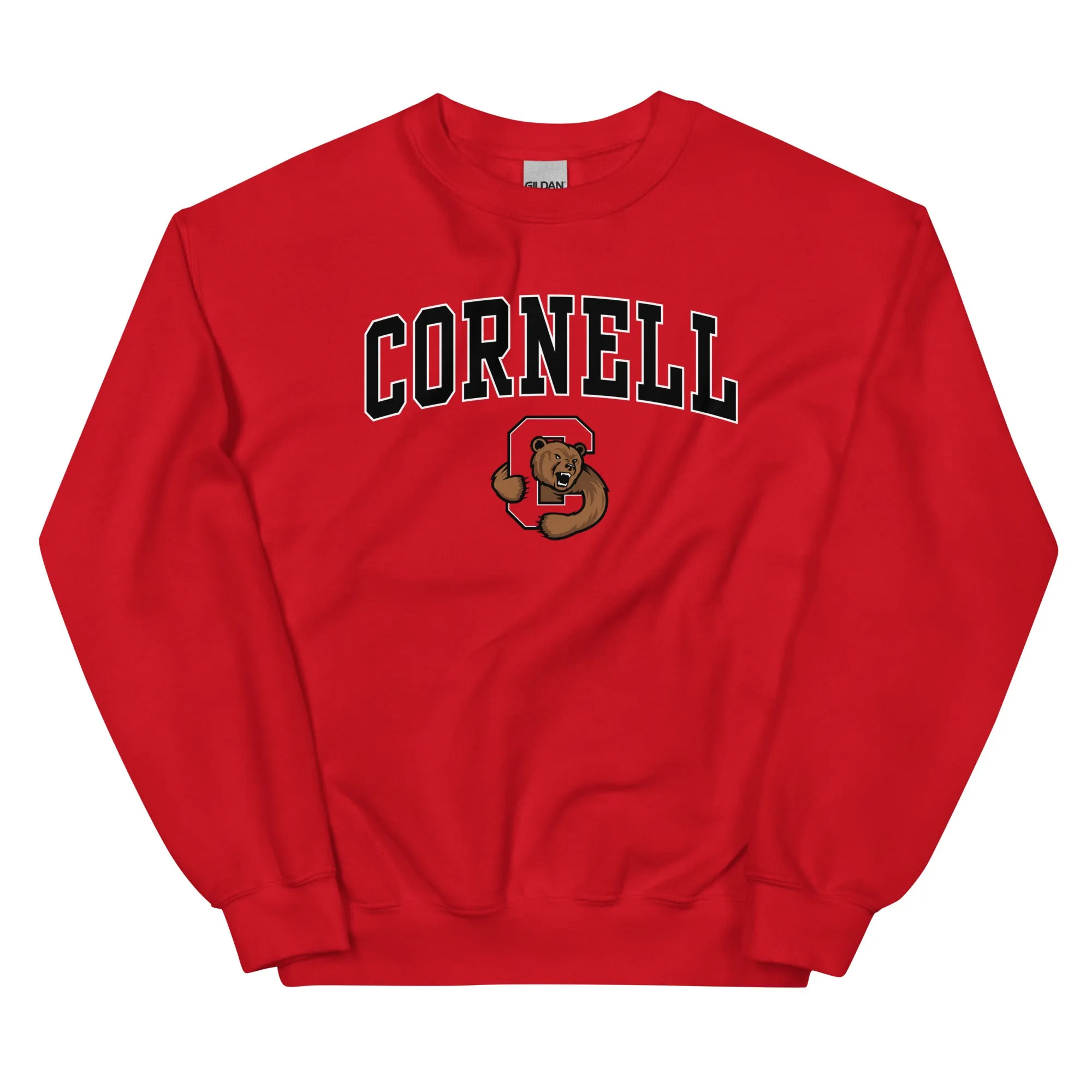 Cornell University Spirit Sweatshirt (Red) sold by Ivy Sport product image thumbnail 4