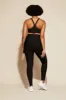 Signature Highrider Tight sold by dk active