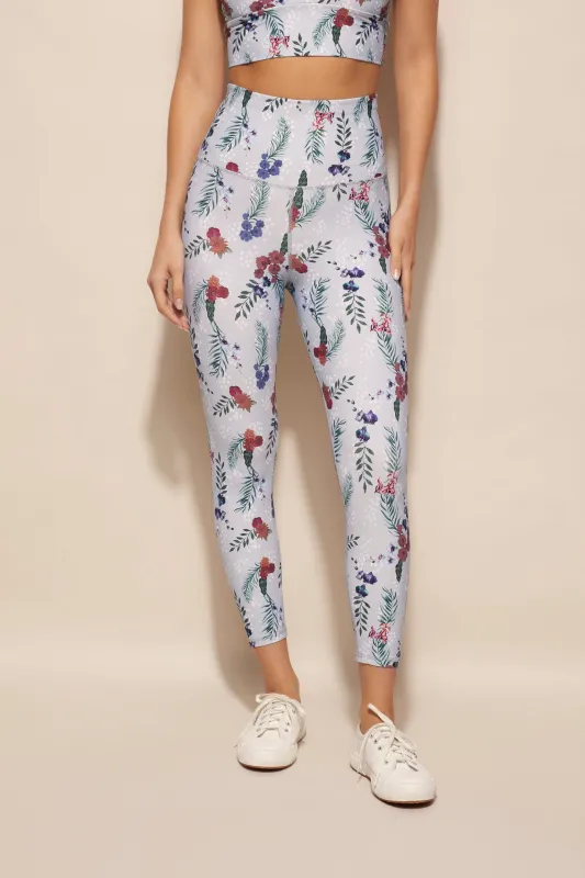 Utopia Tight sold by dk active