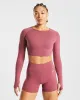 Core Long Sleeve Crop Top - Brick Red sold by AYBL