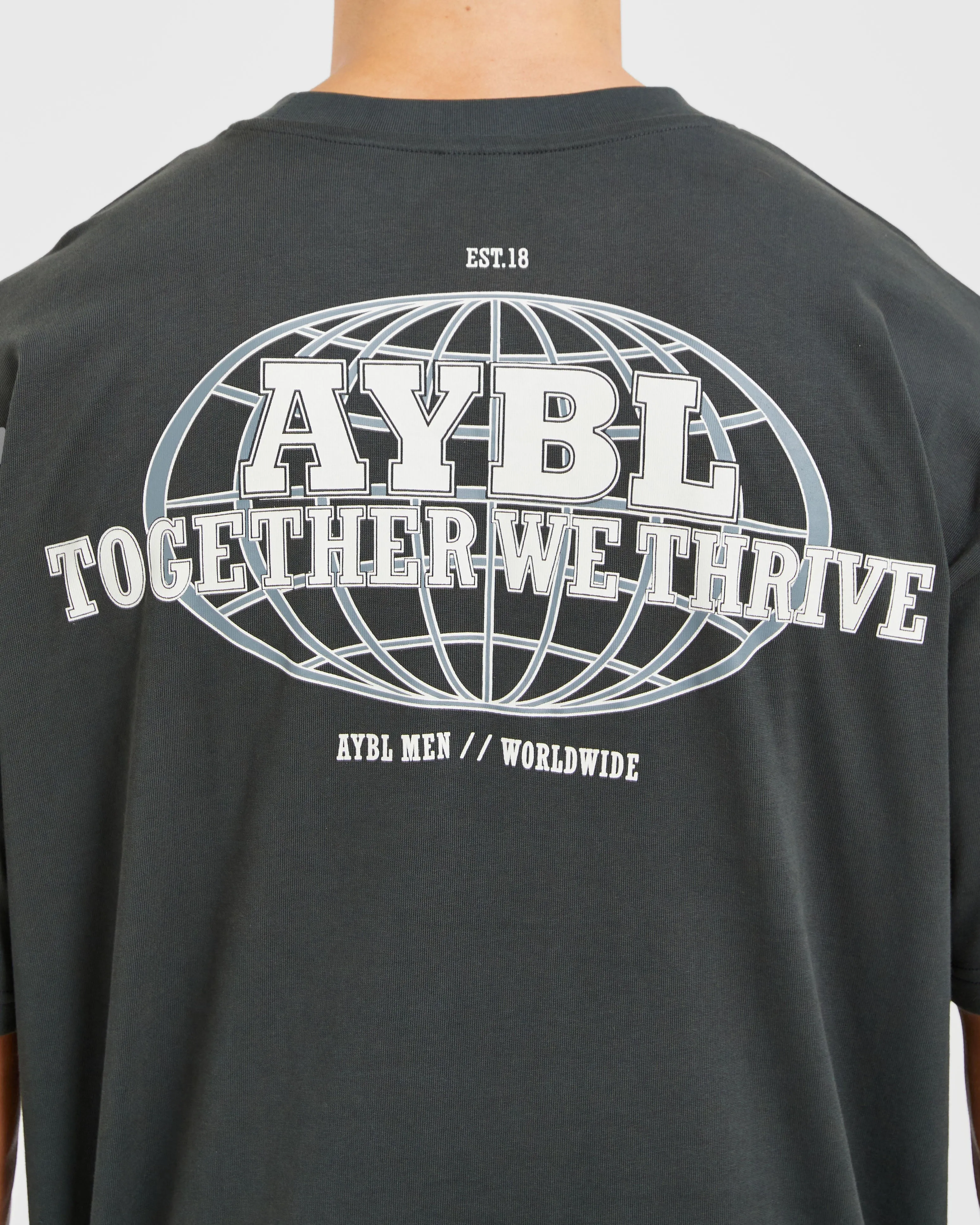 Global Oversized T Shirt - Sea Moss sold by AYBL product image thumbnail 5