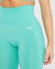 Empower Seamless Leggings - Jade Green sold by AYBL