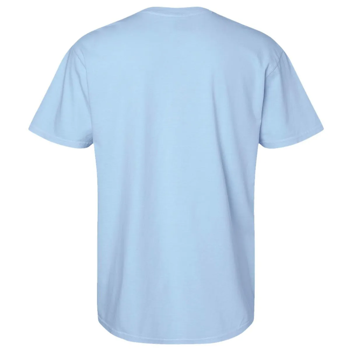 Comfort Colors Unisex Hydrangea Garment-Dyed Heavyweight T-Shirt sold by Merchology product image thumbnail 2