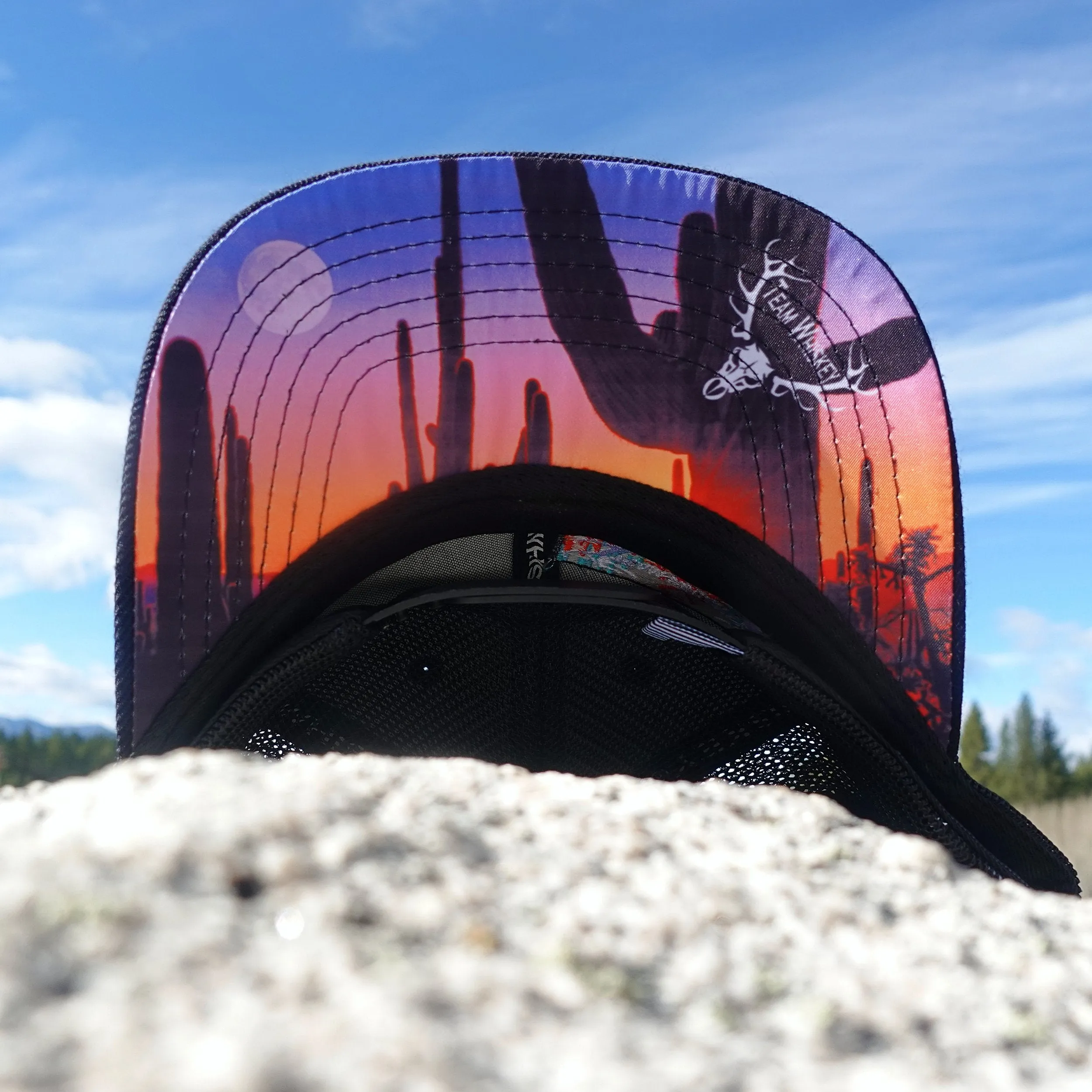 Desert (Curved Bill) sold by Team Whiskey product image thumbnail 2