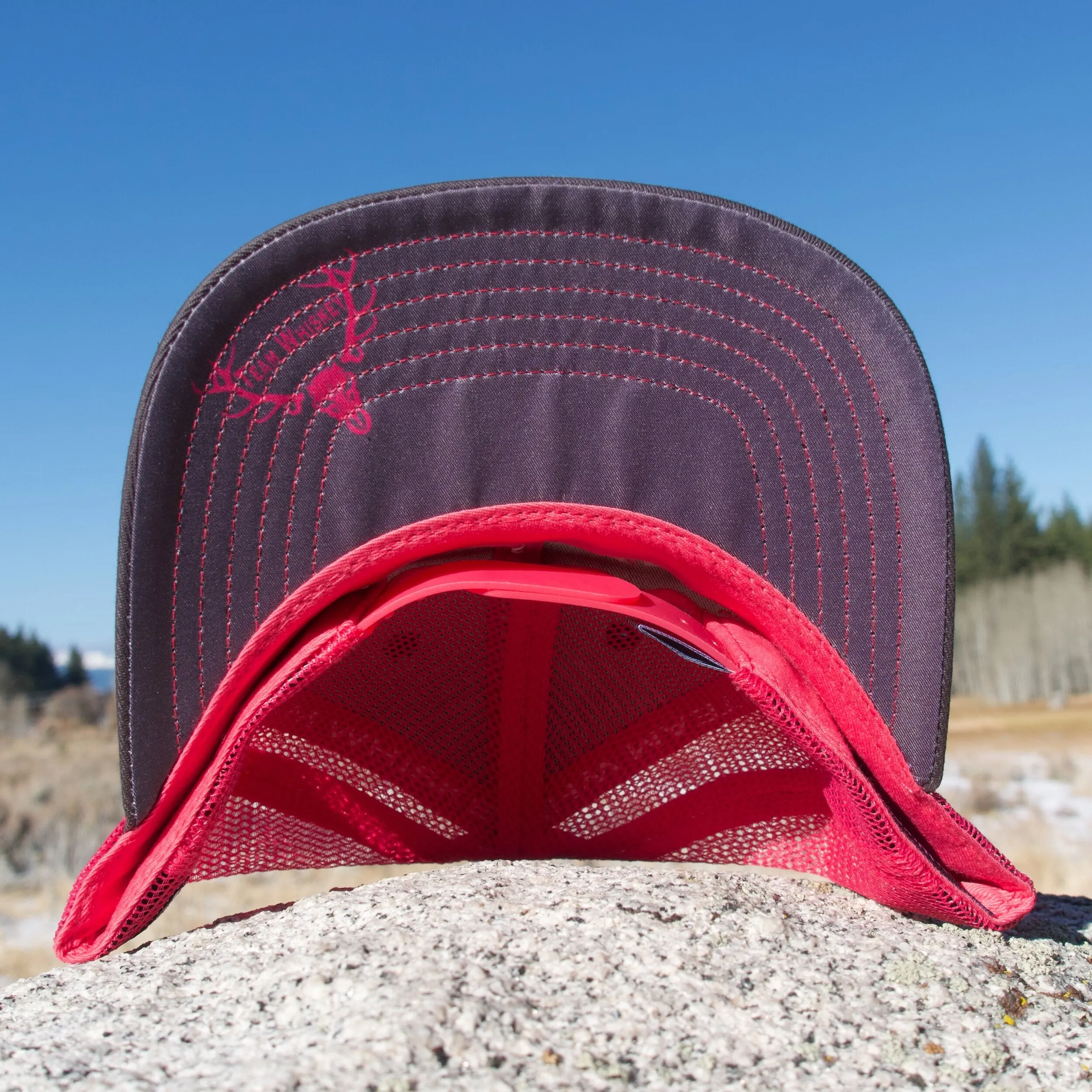 Neon Pink (Curved Bill) sold by Team Whiskey product image thumbnail 2