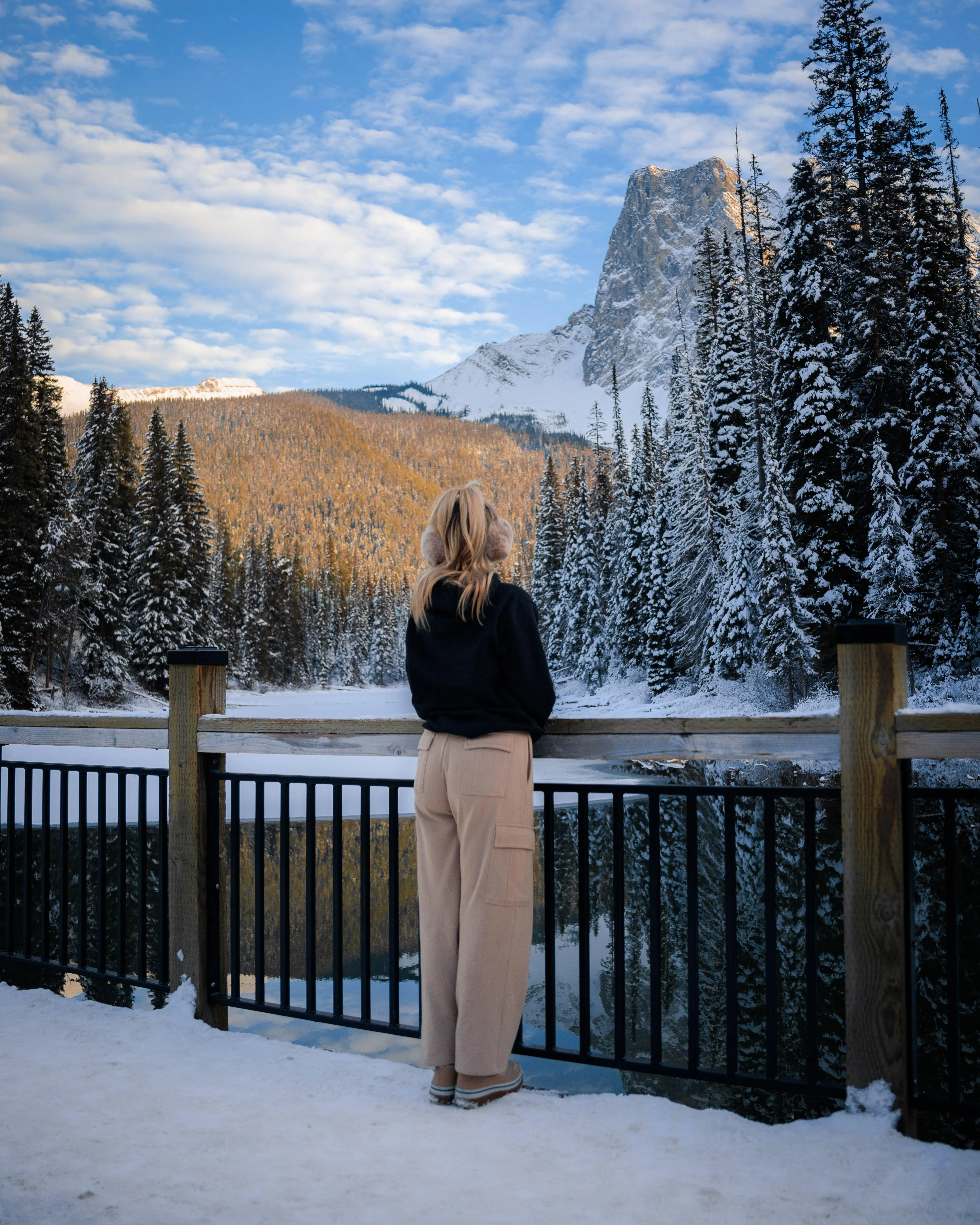 Mountain Wanderer - Embroidered Premium eco hoodie sold by Wander Trails product image thumbnail 4