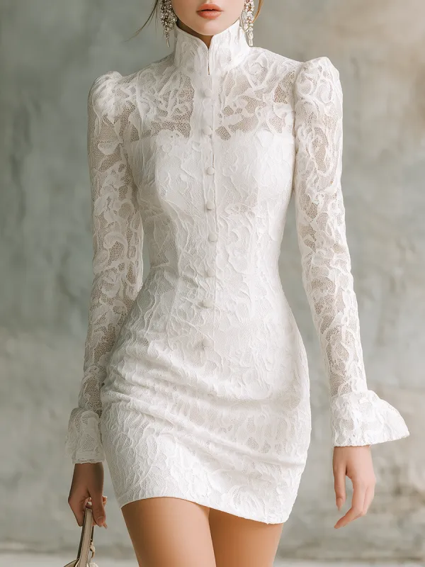 Elegant Vintage-style Stand-collar Lace Mini Dress sold by Oyrosy