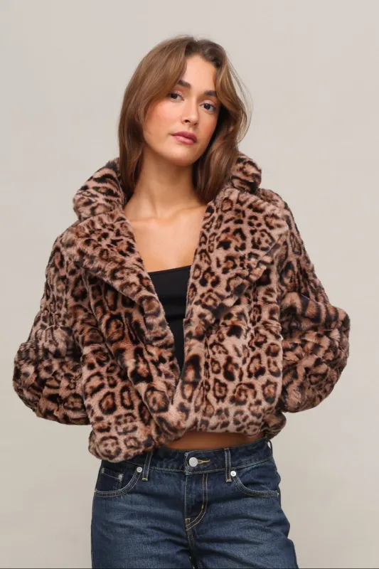 Feline Frenzy Leopard Jacket sold by Mixology