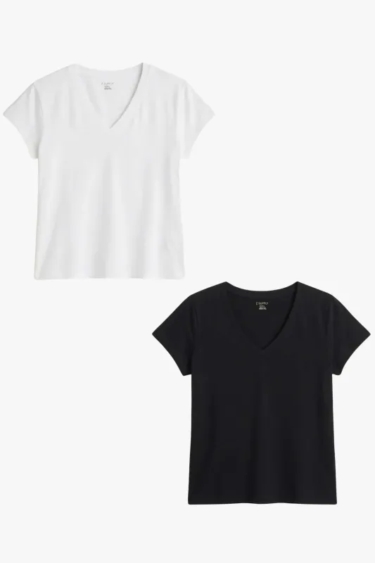 Modern V-Neck Tee Bundle made by Z Supply