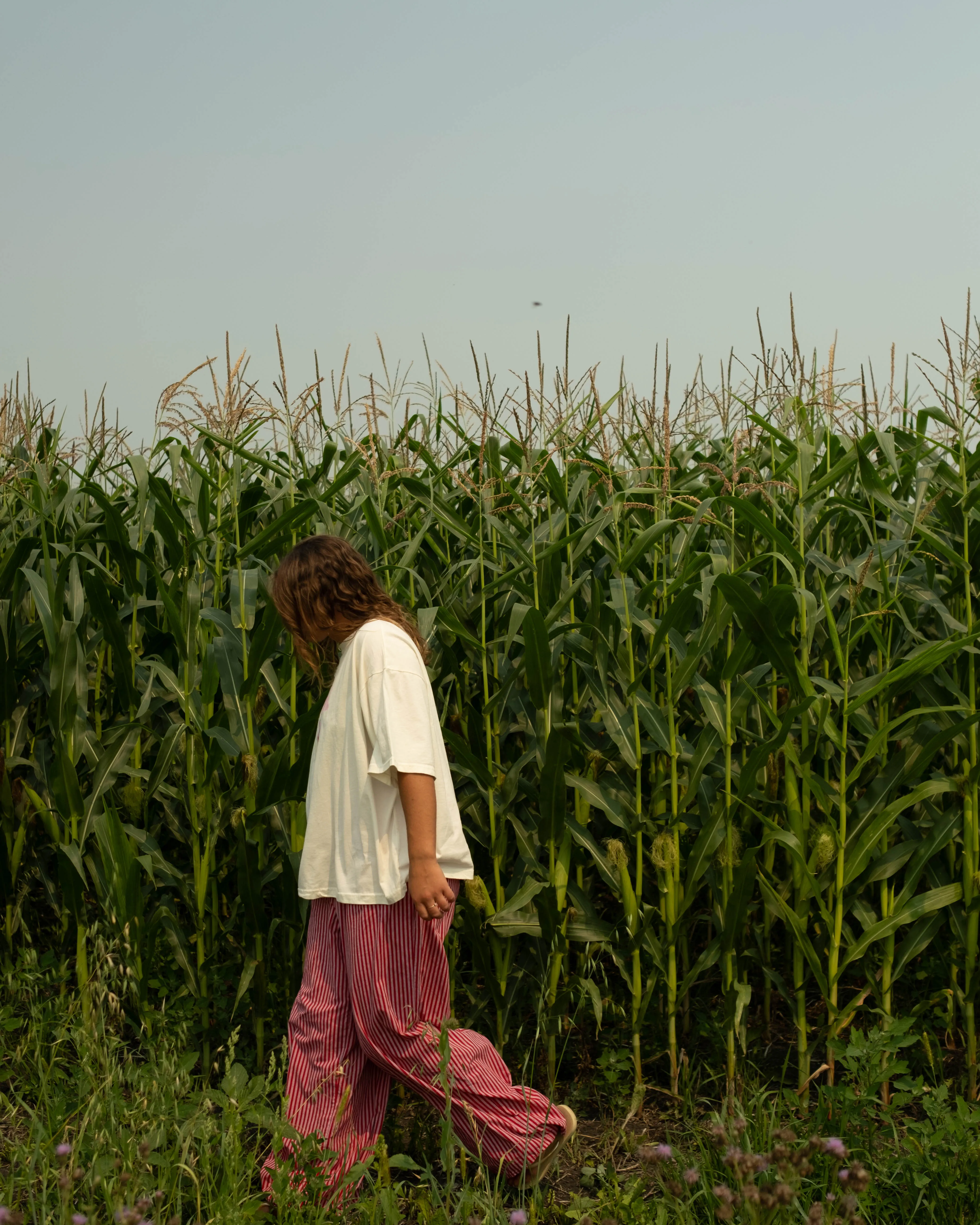mom's pink milk tee sold by Kindly product image thumbnail 4