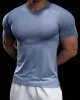 Quick Dry Short Sleeve Training T-shirt sold by Aha Selected