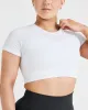 Classic Seamless 2.0 Short Sleeve Crop Top | White sold by Oner Active