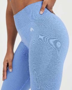 Classic Seamless 2.0 Leggings | Light Denim Marl sold by Oner Active