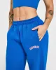Foundations Joggers With Graphic | Oasis Blue sold by Oner Active