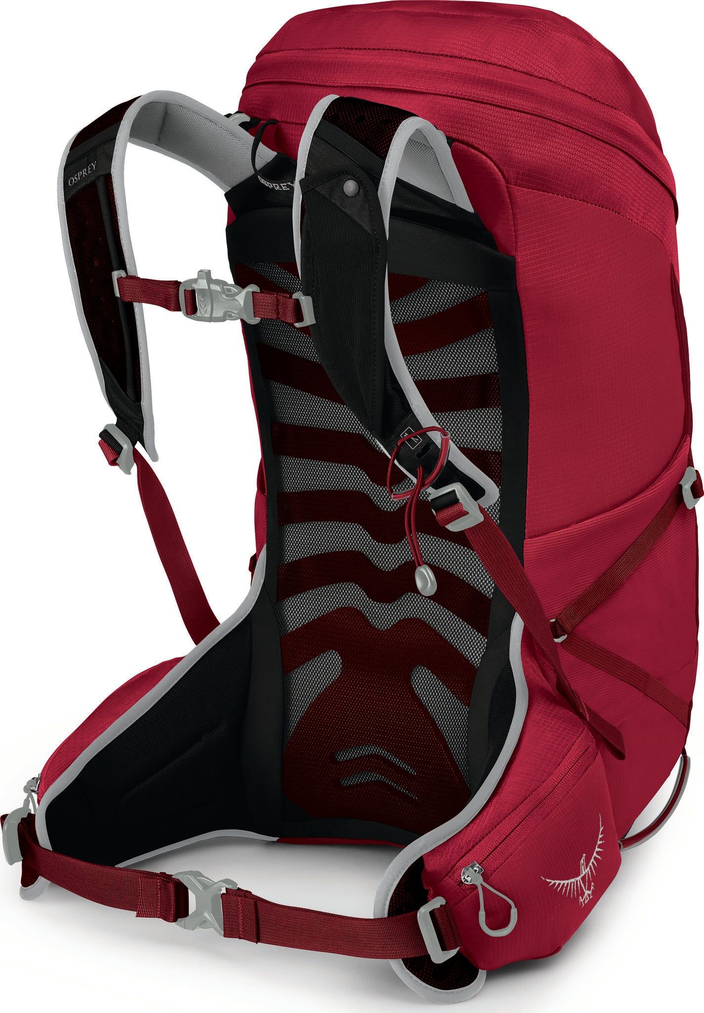 Talon 26L Backpack - Men's|-|Sac à dos Talon 26L - Homme sold by The Last Hunt product image thumbnail 2