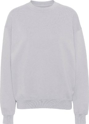 Organic Oversized Crew Neck Sweatshirt - Unisex|-|Chandail à col rond surdimensionné biologique - Unisexe sold by The Last Hunt