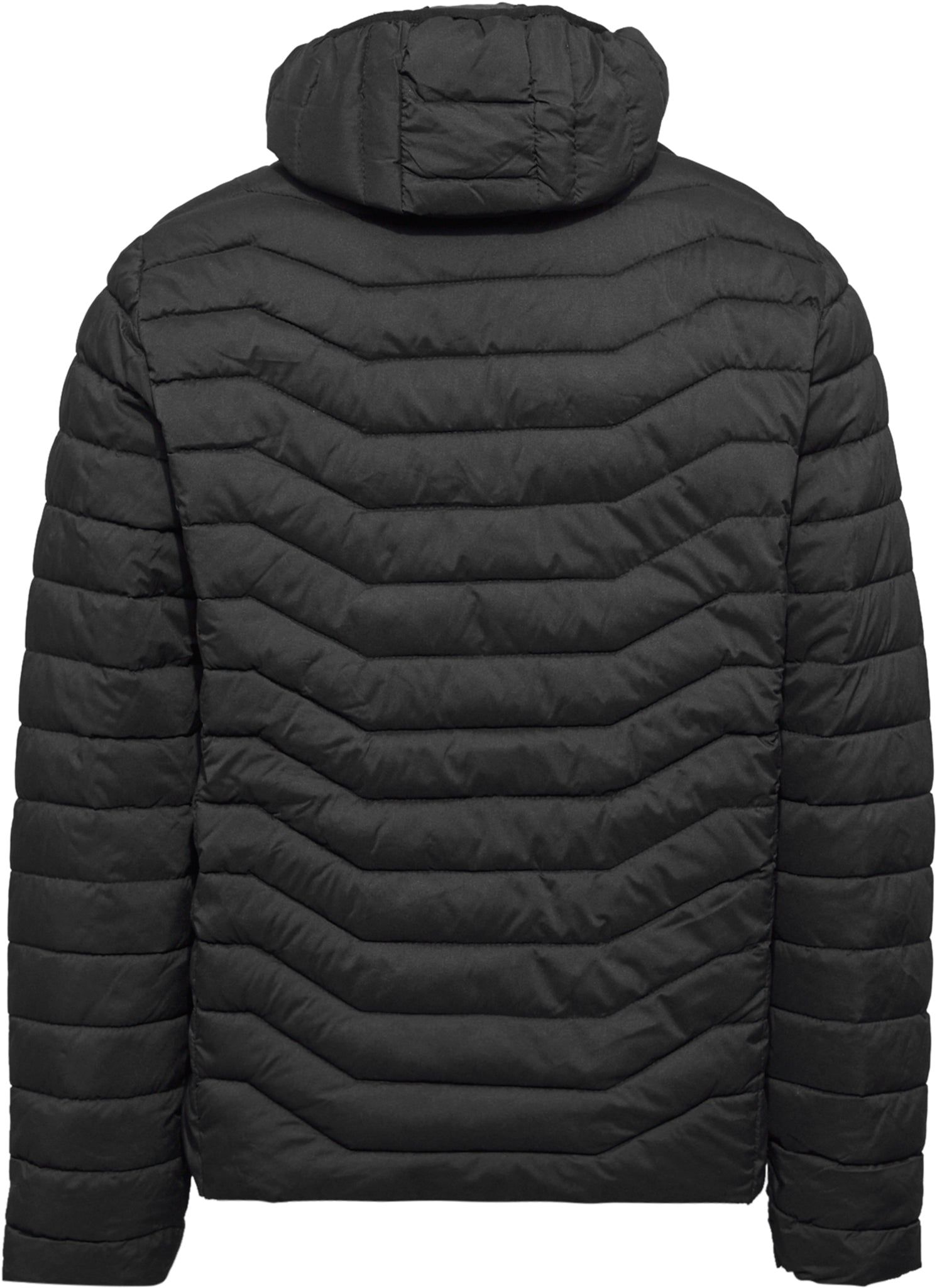 Puffer Jacket - Men's|-|Manteau doudoune - Homme sold by The Last Hunt product image thumbnail 2