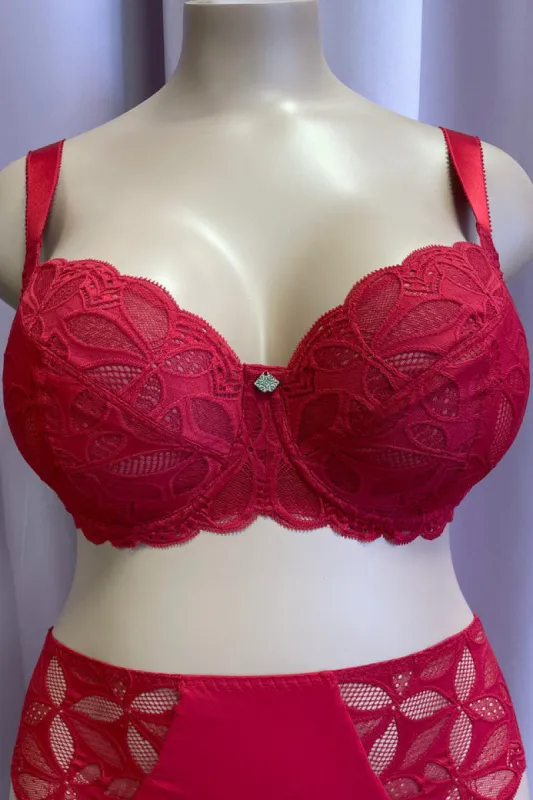 Antigel H17 Stricto Sensuelle 3/4 Cup sold by Antigel