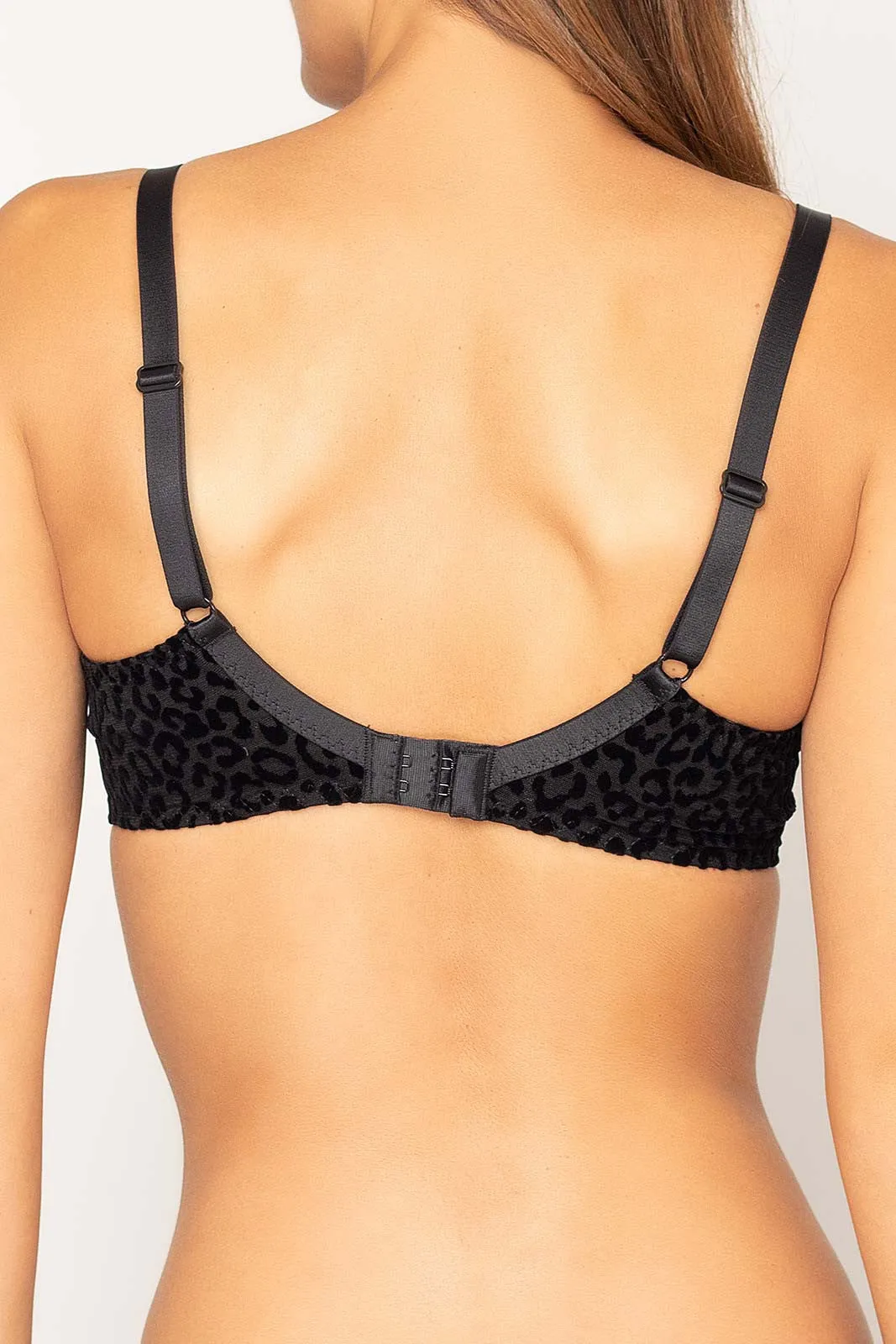 Antigel G38 Signature Fauve DEMI CUP sold by Antigel product image thumbnail 2