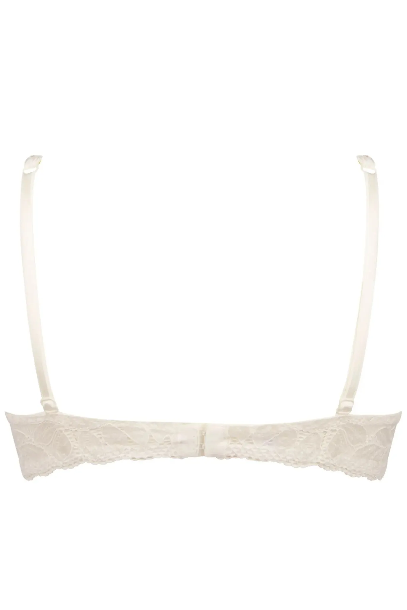 Antigel H64 Liberte En Fleur Padded Underwired Bra sold by Antigel product image thumbnail 2