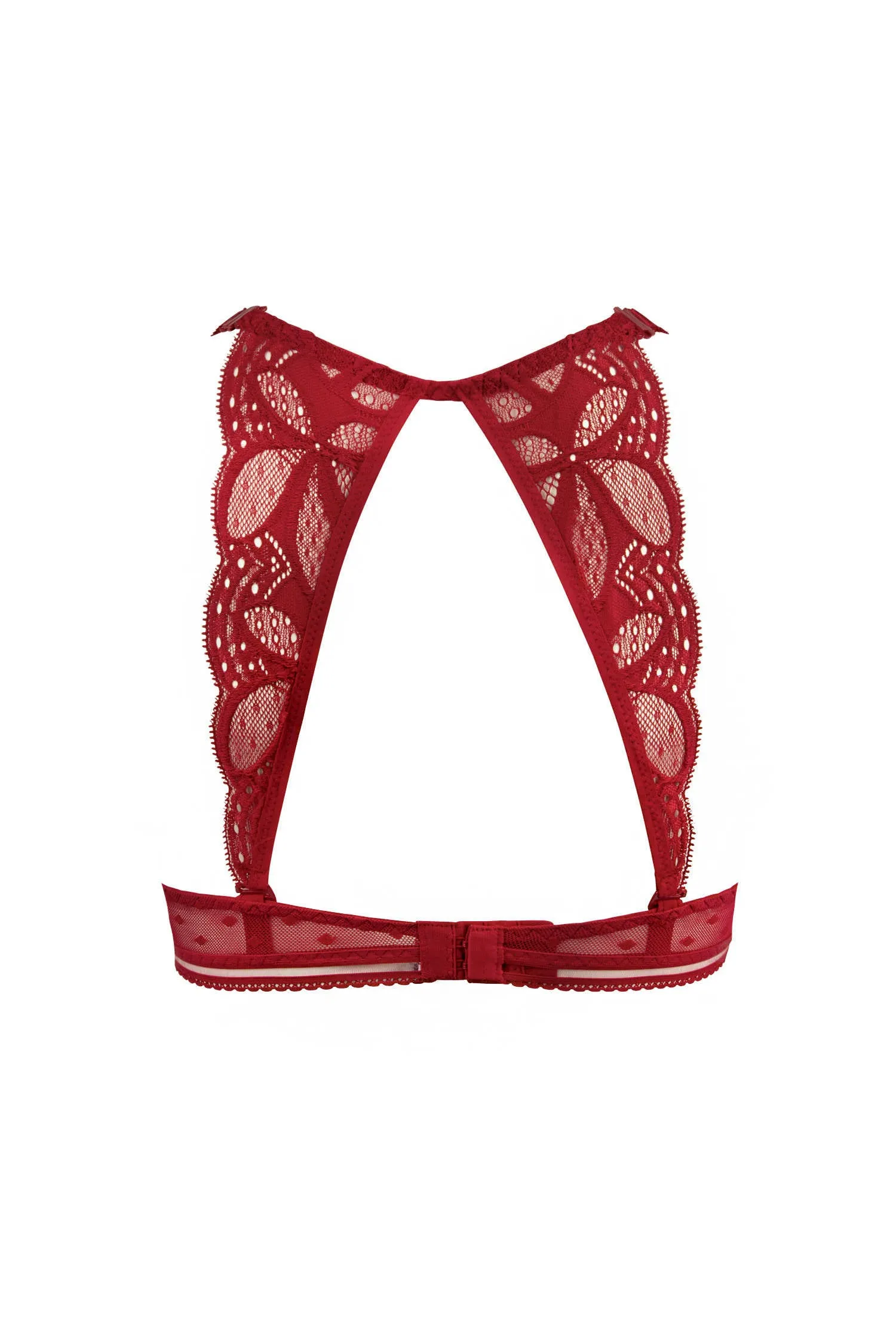 Antigel H17 Stricto Sensuelle Contour W/progressive Pad sold by Antigel product image thumbnail 3