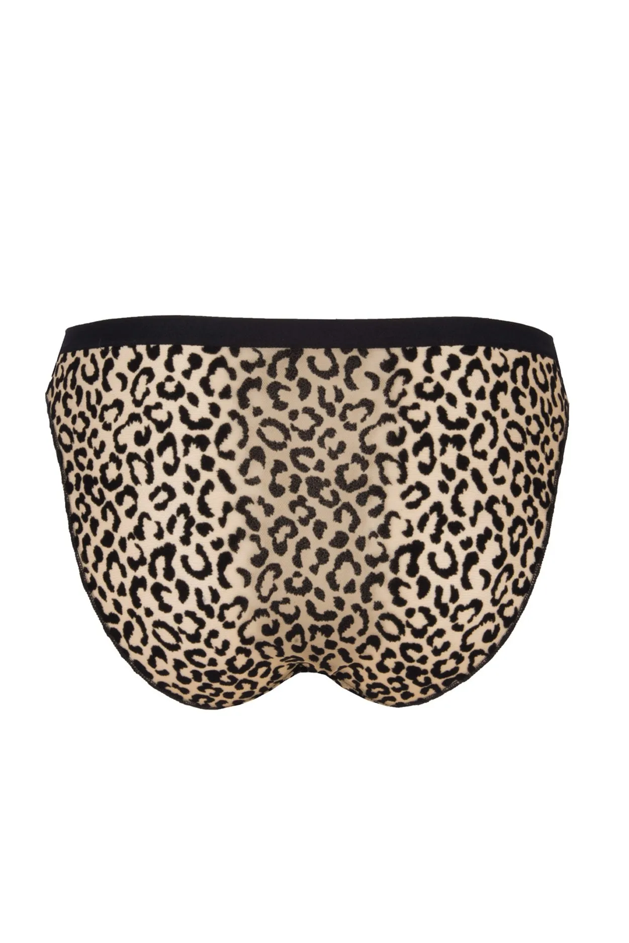 Antigel G38 Signature Fauve SLIP CHARME sold by Antigel product image thumbnail 4