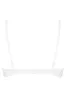 Antigel J07 Dentelle Rebelle Triangle Bra With Half Pad sold by Antigel