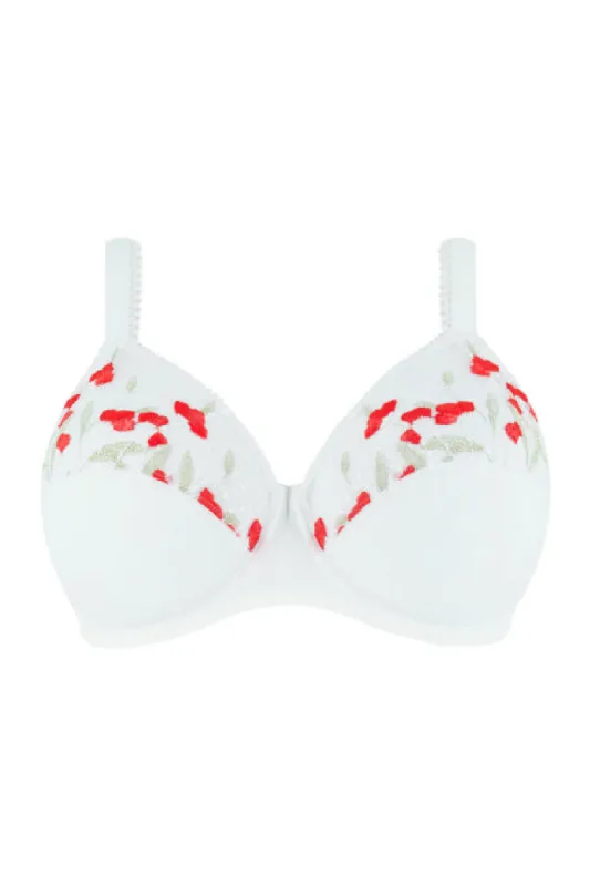 Antigel G63 Reve De Coquelicot Full Cup sold by Antigel