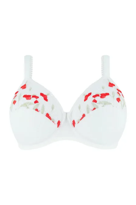 Antigel G63 Reve De Coquelicot Full Cup sold by Antigel