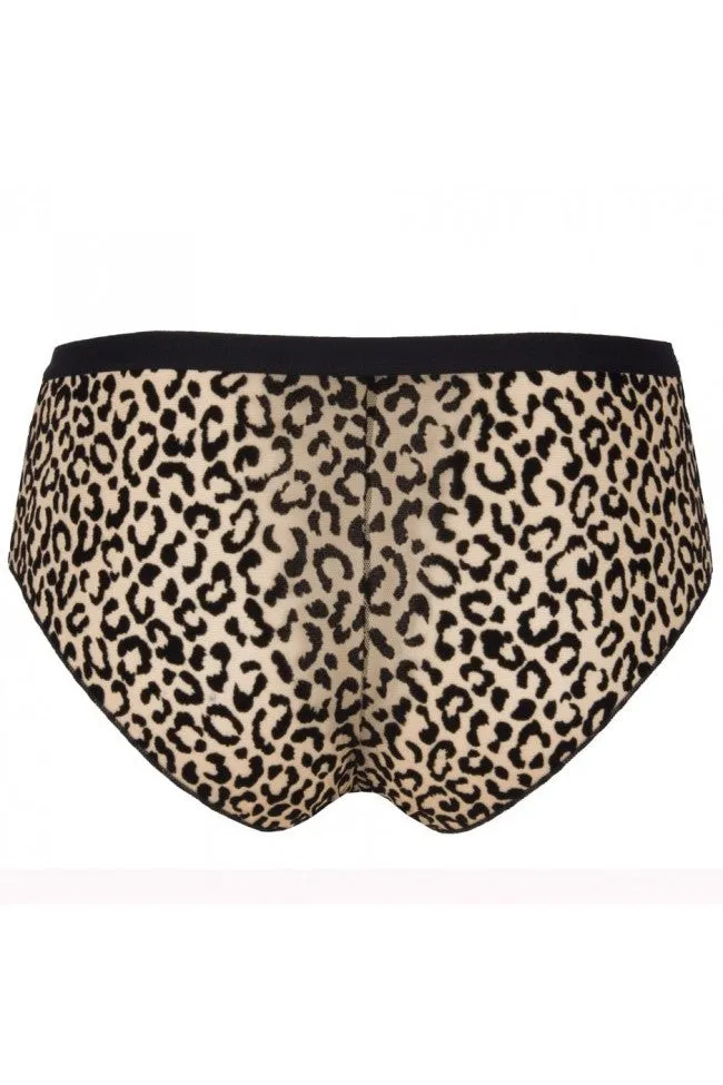 Antigel G38 Signature Fauve Boyshort sold by Antigel product image thumbnail 3