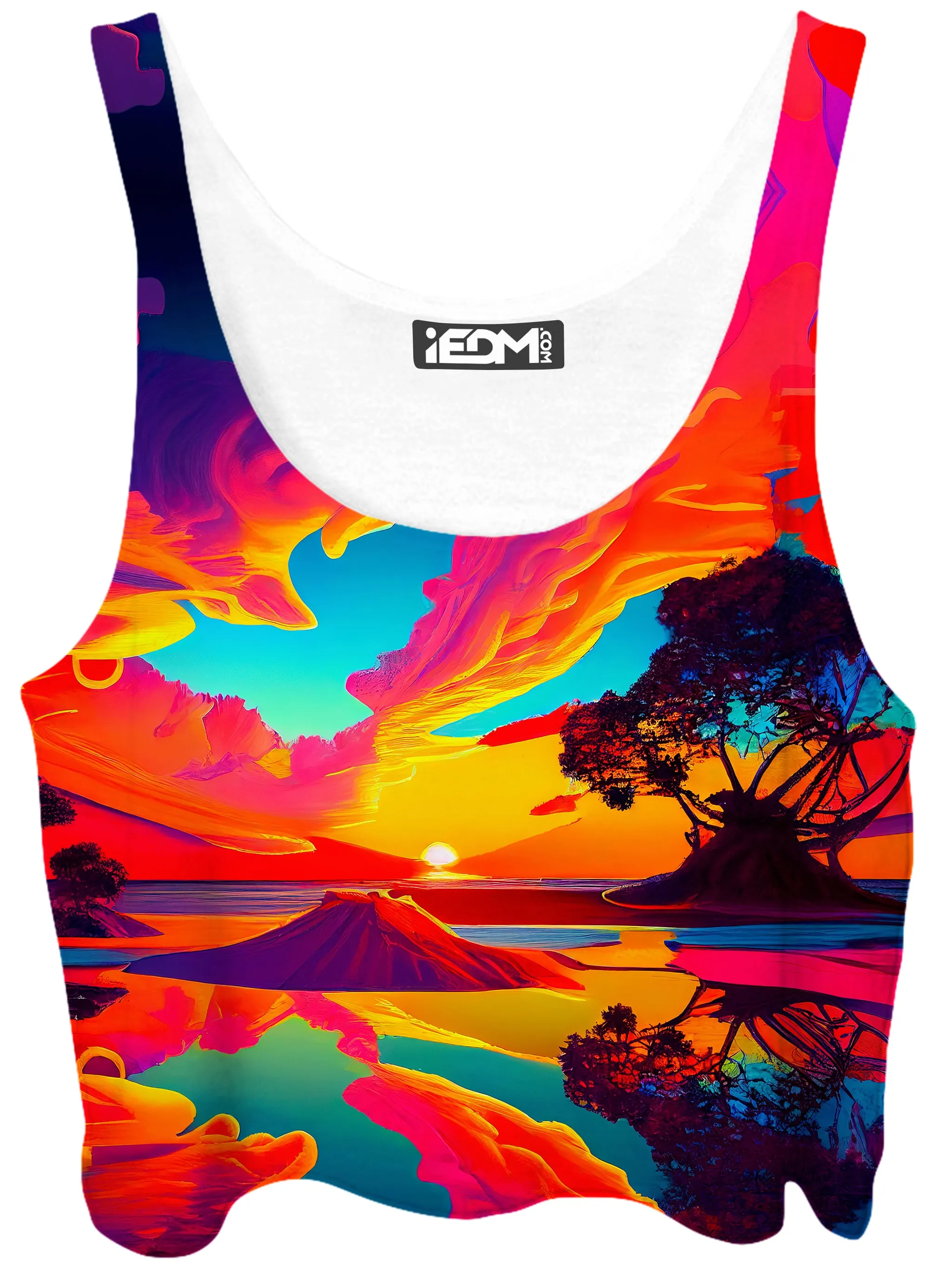 Paradiso Crop Top sold by iEDM