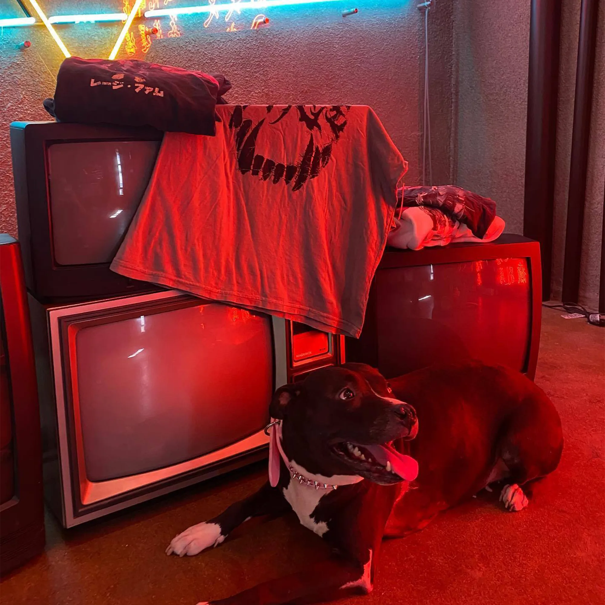 Fangs Vintage Tee (Multiple Colors) sold by Merchlabs product image thumbnail 3