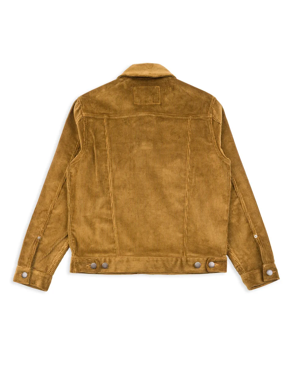 CD-1 Jacket - Gold Corduroy sold by Standard and Strange product image thumbnail 2