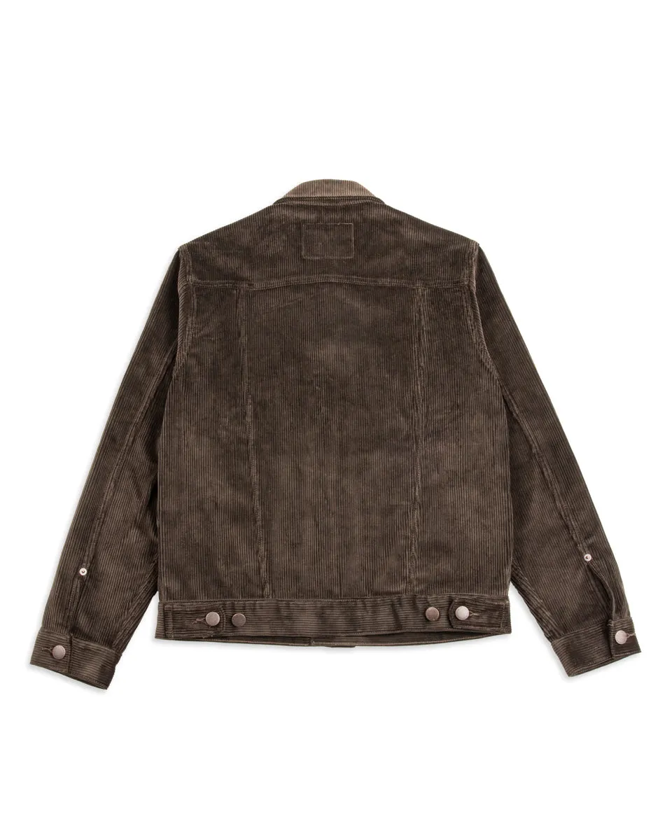 CD-1 Jacket - Espresso Corduroy sold by Standard and Strange product image thumbnail 2