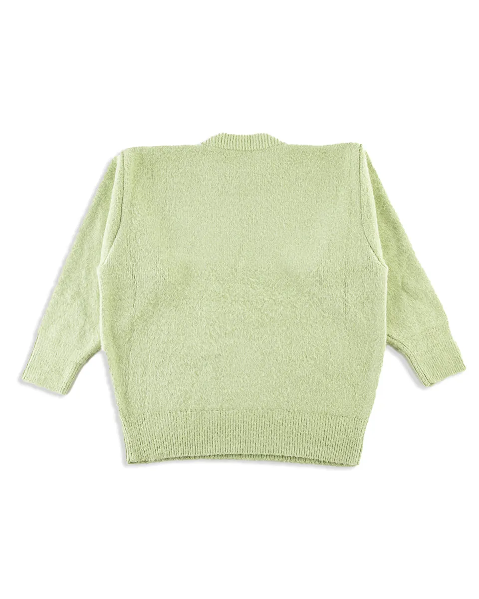 Silk Shaggy Dog Pullover - Pistachio sold by Standard and Strange product image thumbnail 2