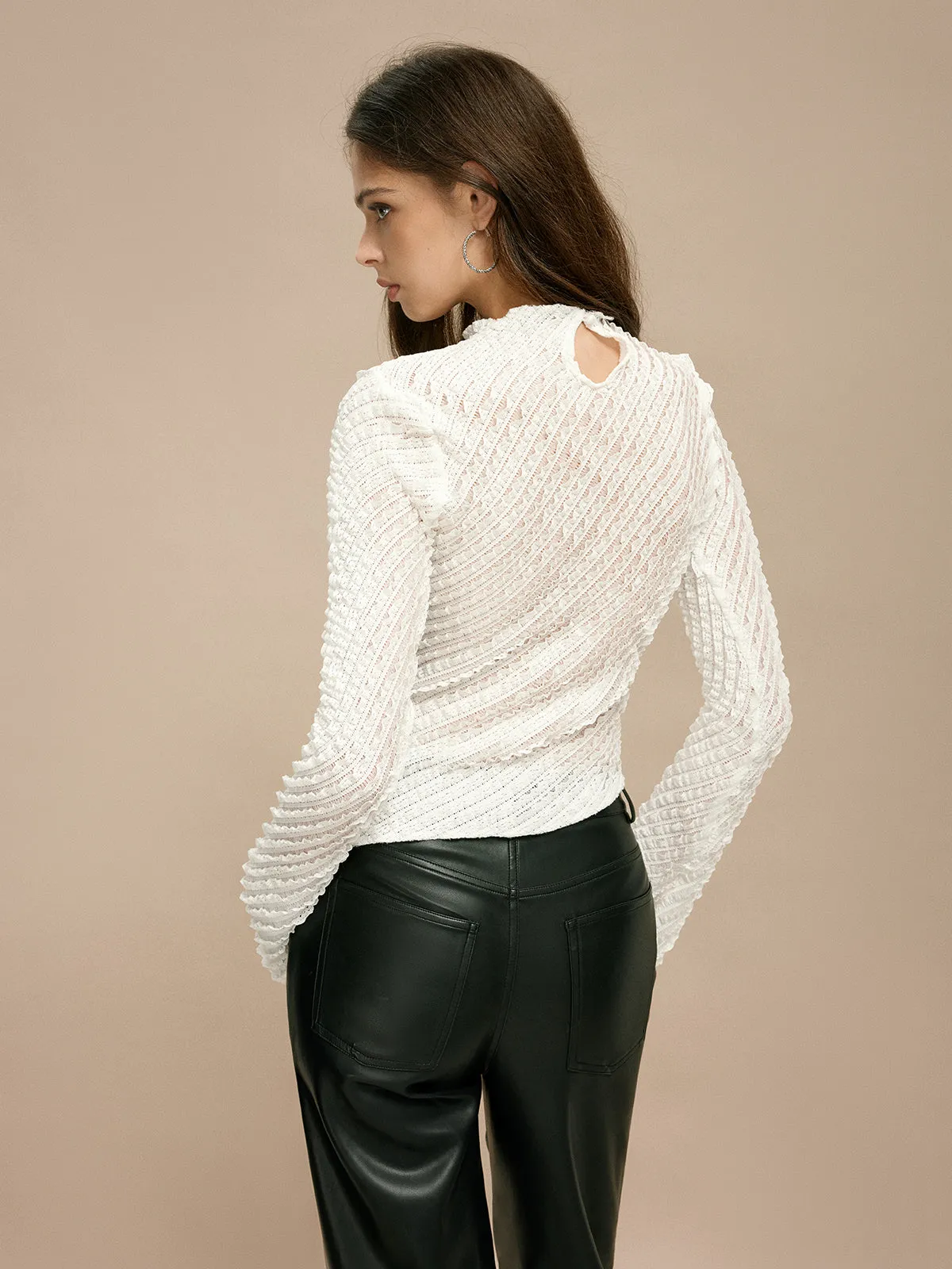 Stand Collar Semi-Sheer Plisse Blouse sold by COMMENSE product image thumbnail 3