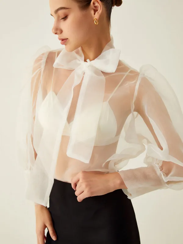 Long Sleeve Sheer Shirt sold by COMMENSE