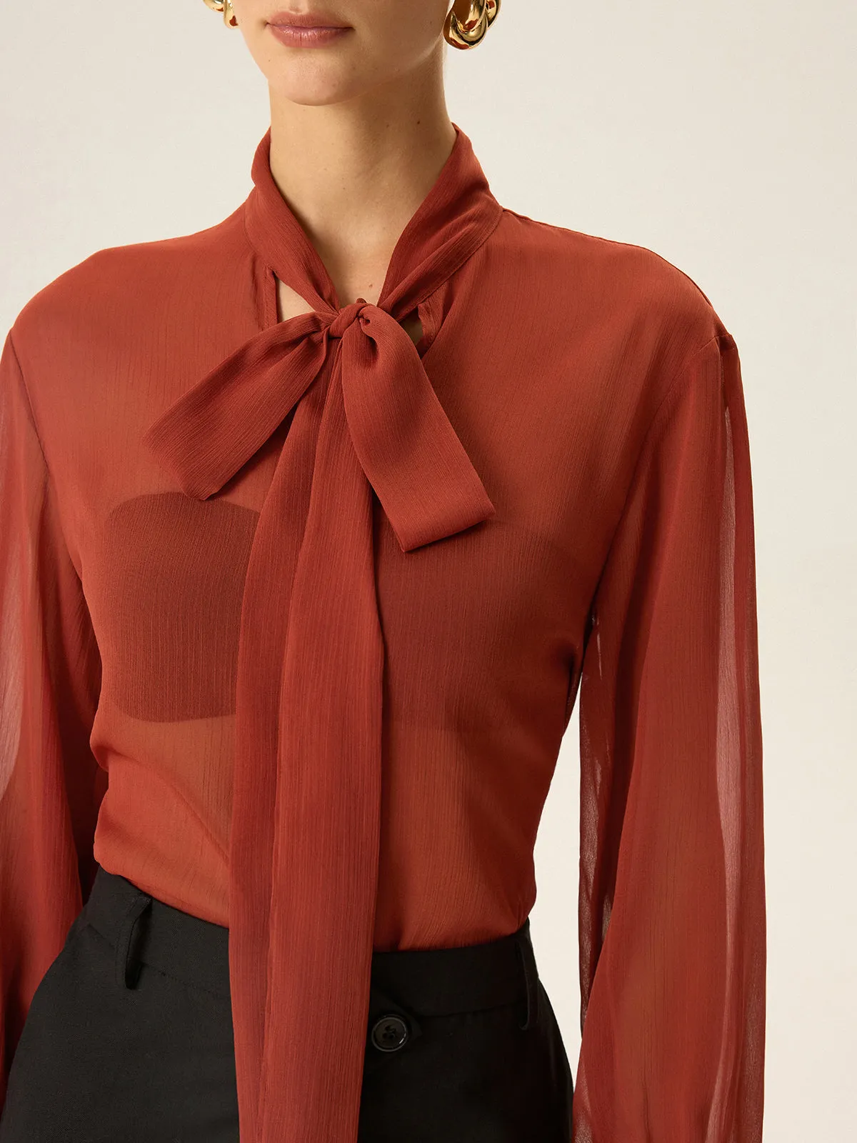 Semi-Sheer Chiffon Tie Neck Blouse sold by COMMENSE product image thumbnail 5