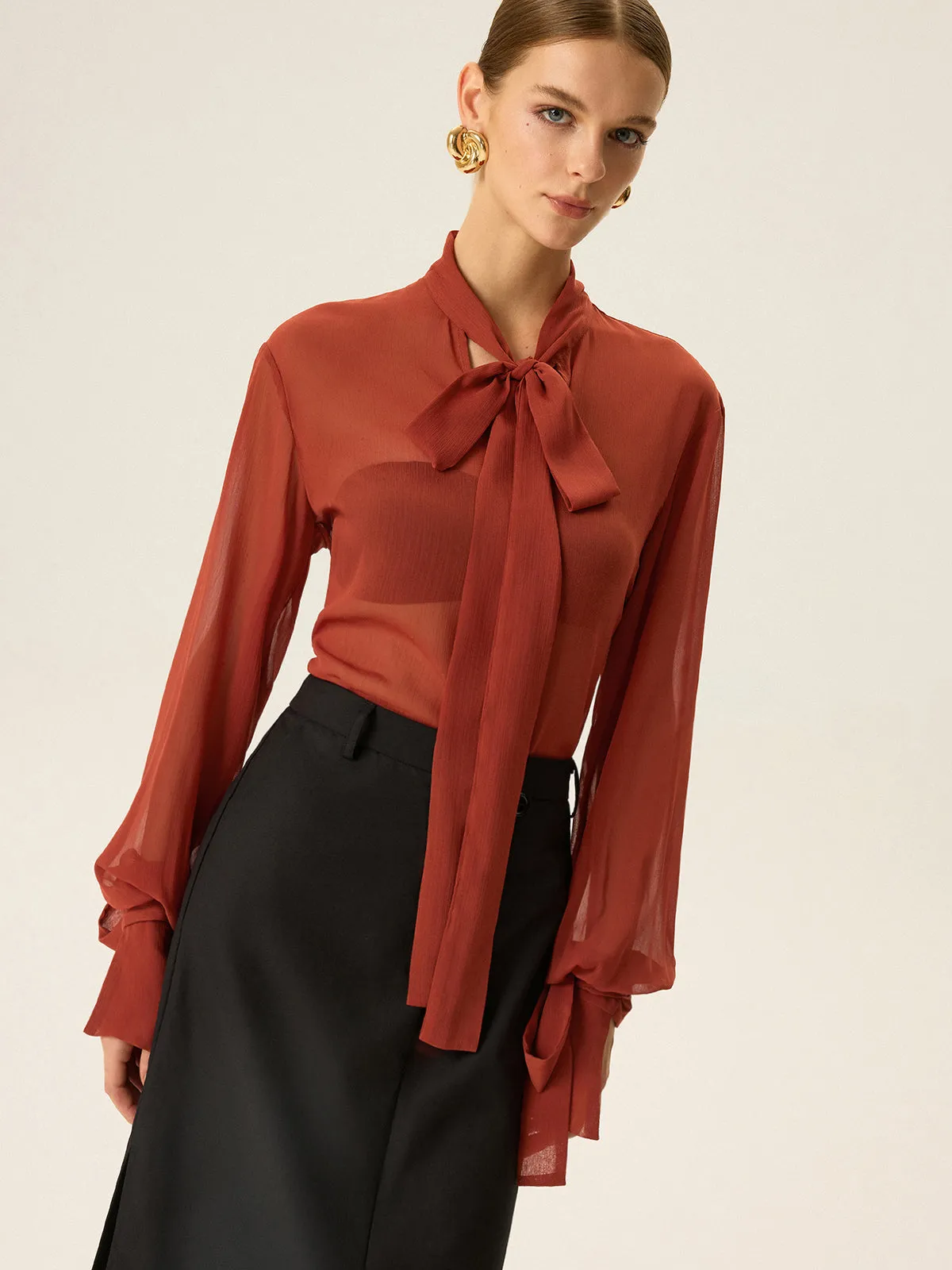 Semi-Sheer Chiffon Tie Neck Blouse sold by COMMENSE product image thumbnail 2