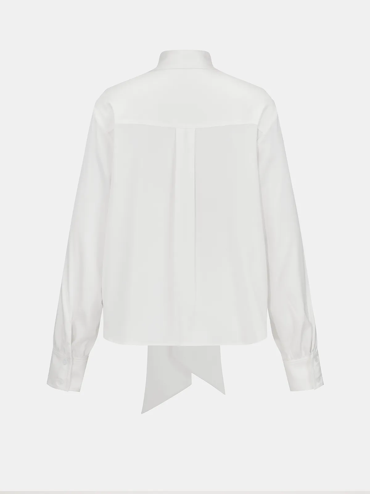 Semi-Sheer Satin Tie-Neck Long-Sleeve Blouse sold by COMMENSE product image thumbnail 2