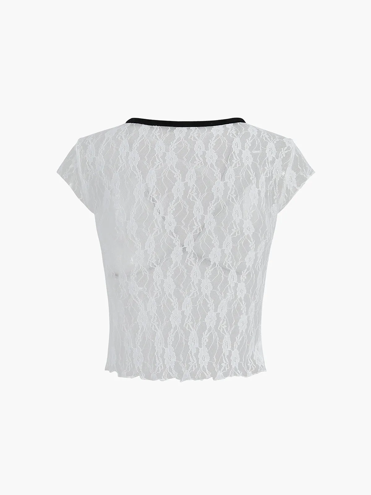 Shine In Summer Sheer Lace Contrast Trim Top sold by COMMENSE product image thumbnail 5