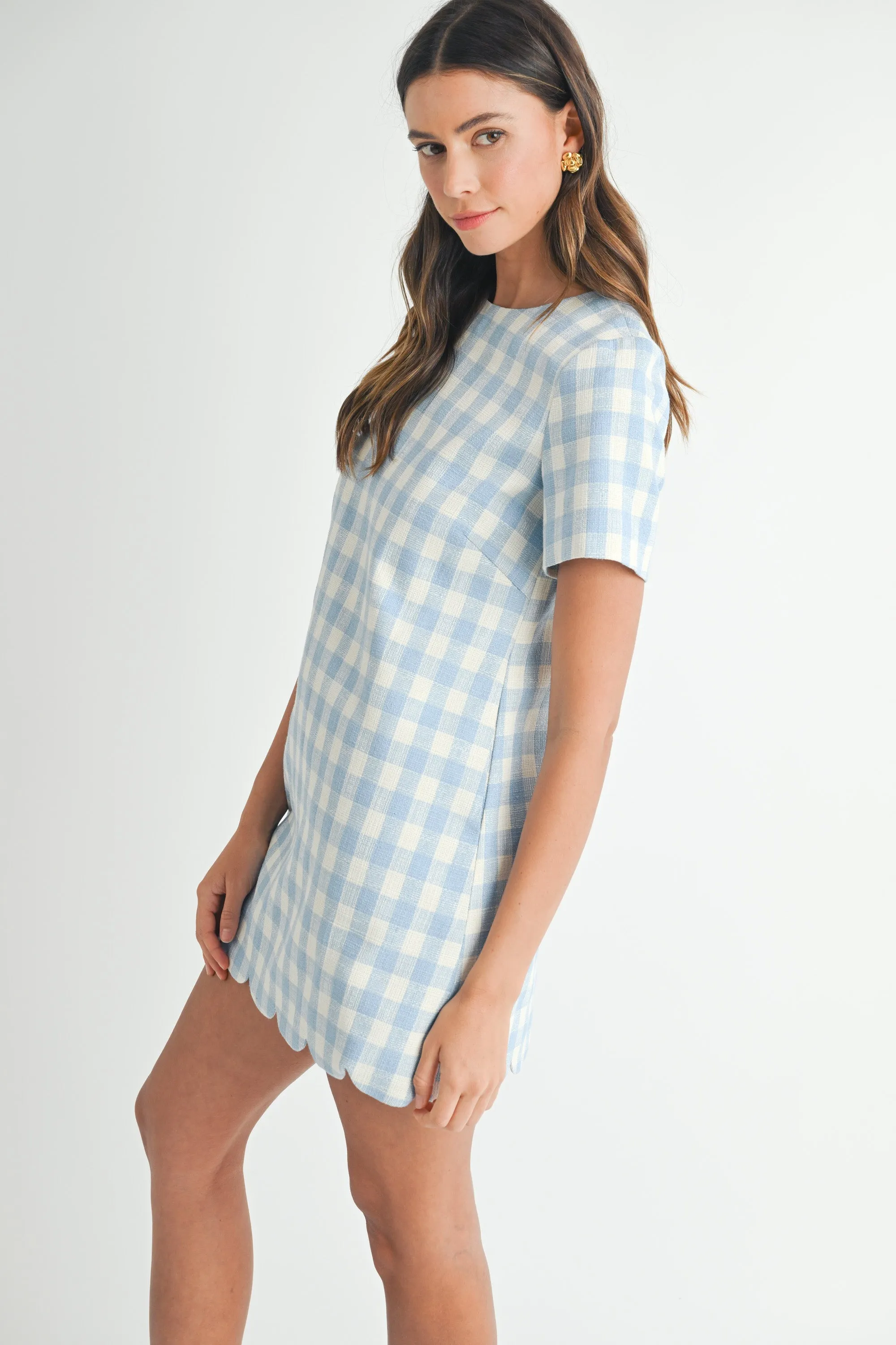 LYDIA A LINE MINI DRESS sold by MABLE product image thumbnail 2