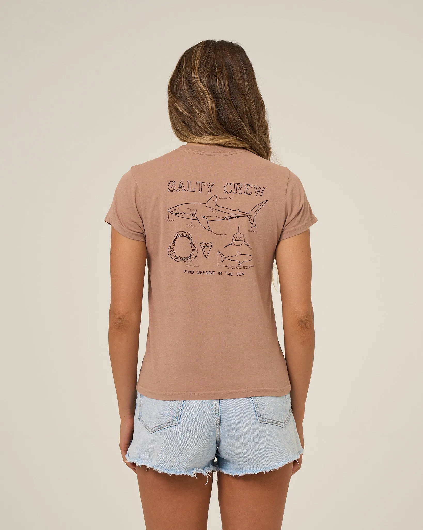 Shark Anatomy Modern Tee - Mocha sold by Salty Crew