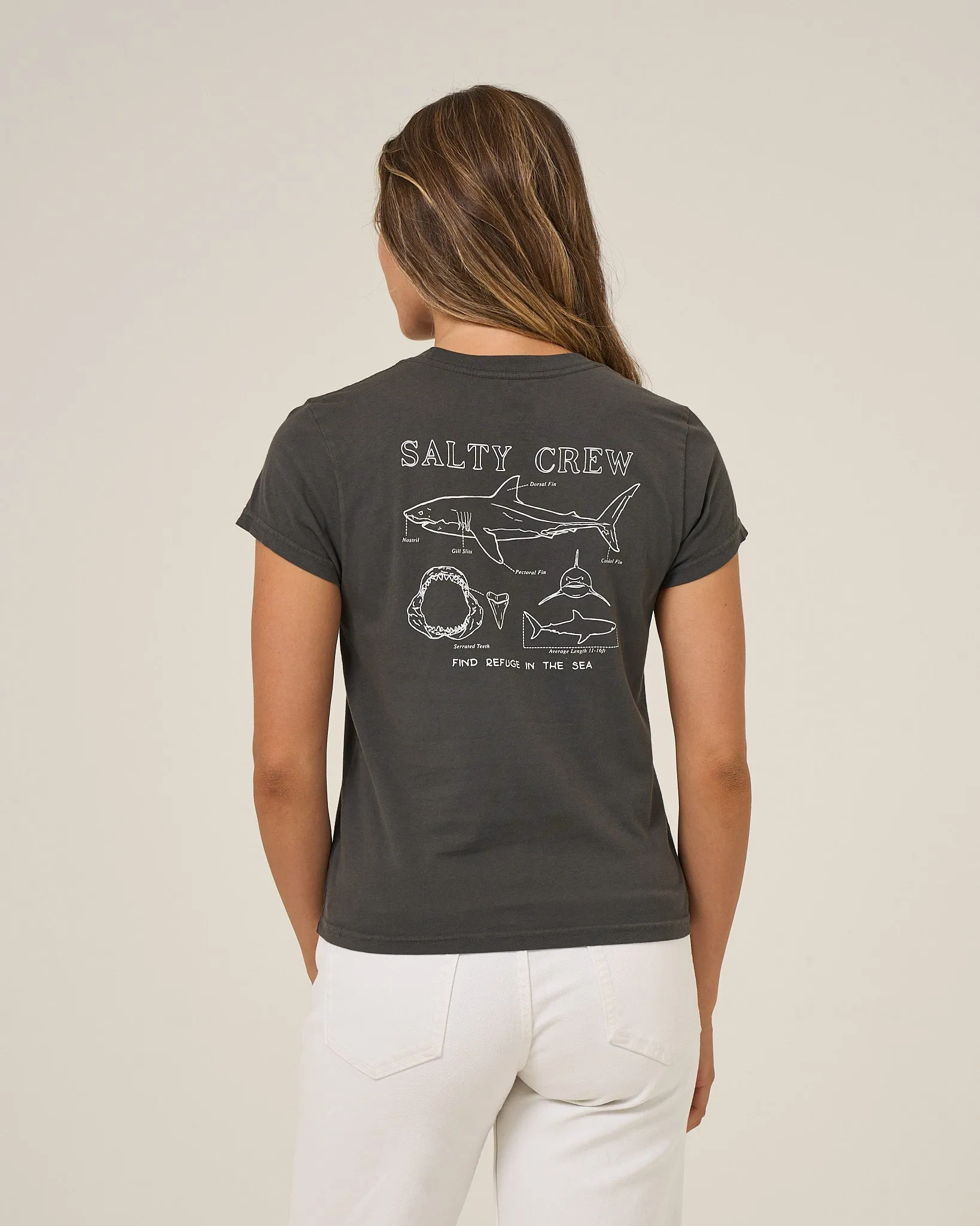 Shark Anatomy Modern Tee - Charcoal sold by Salty Crew