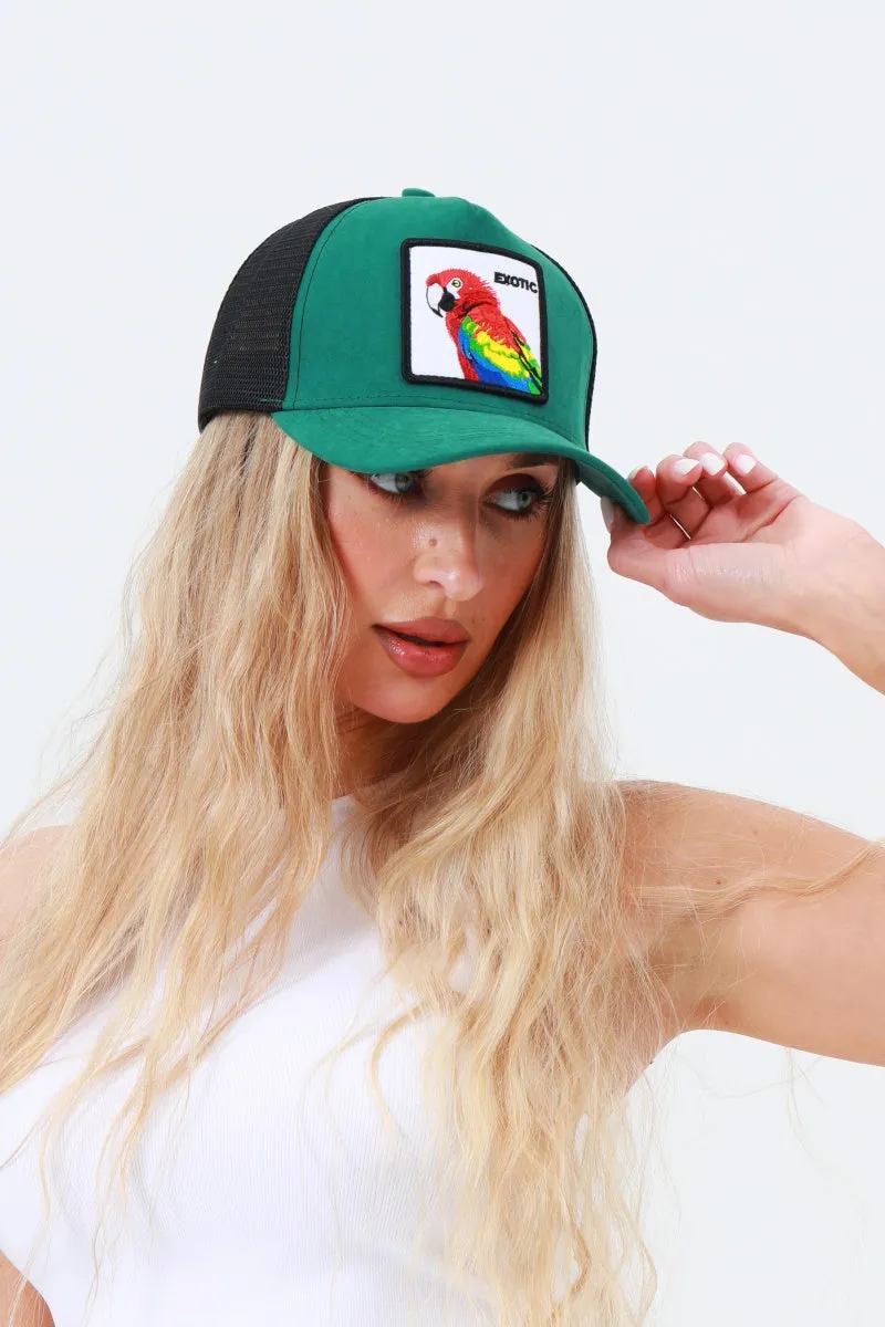 Vibrant Embroidered Animal Baseball Cap – Soft Cotton Street Style sold by Leto Collection product image thumbnail 4