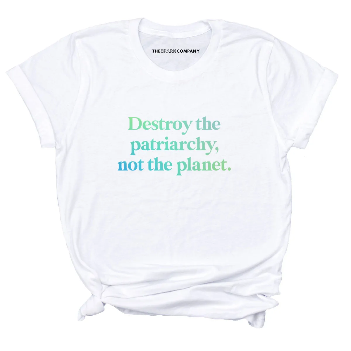 Destroy The Patriarchy Not The Planet T-Shirt sold by The Spark Company