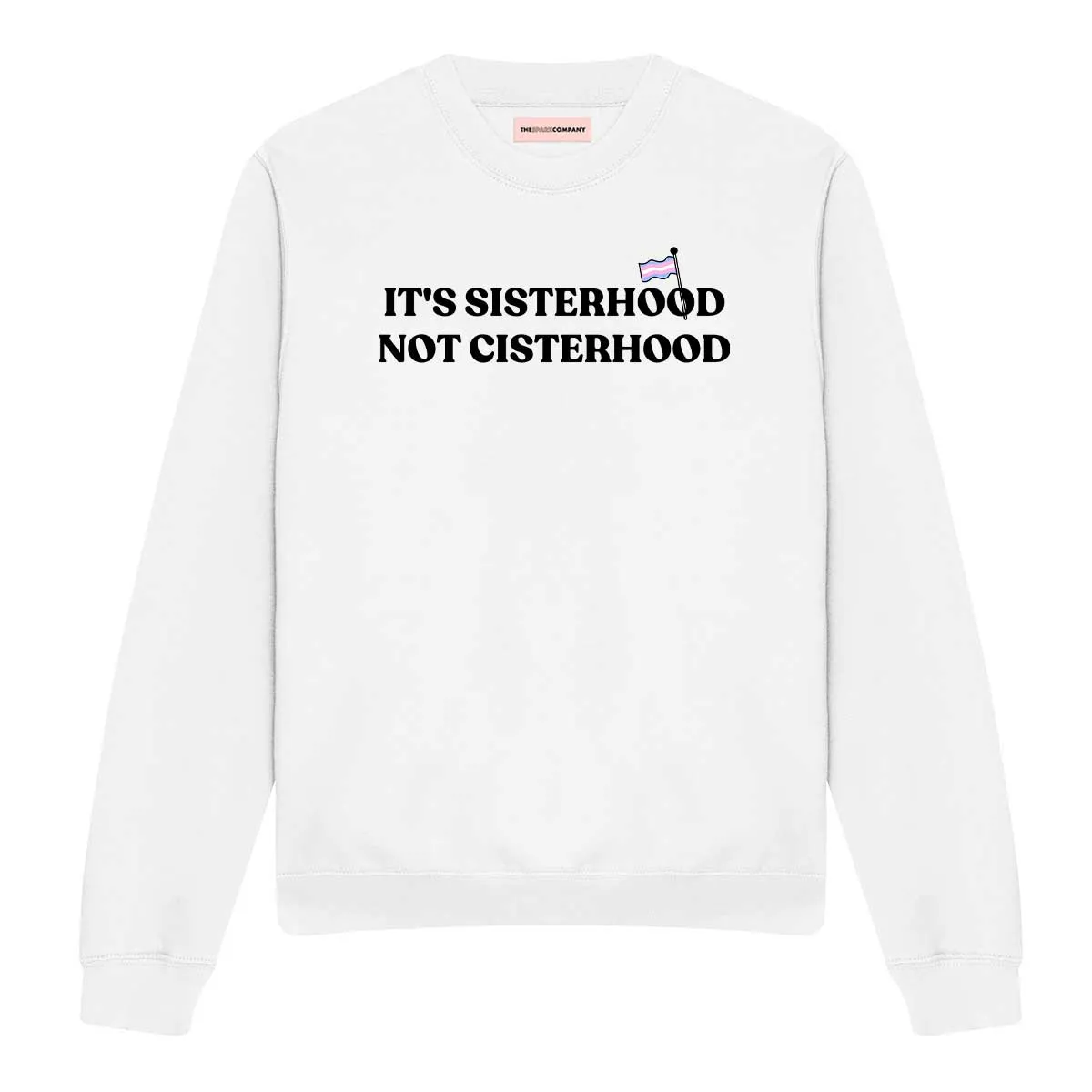 It's Sisterhood Not Cisterhood Sweatshirt sold by The Spark Company product image thumbnail 3