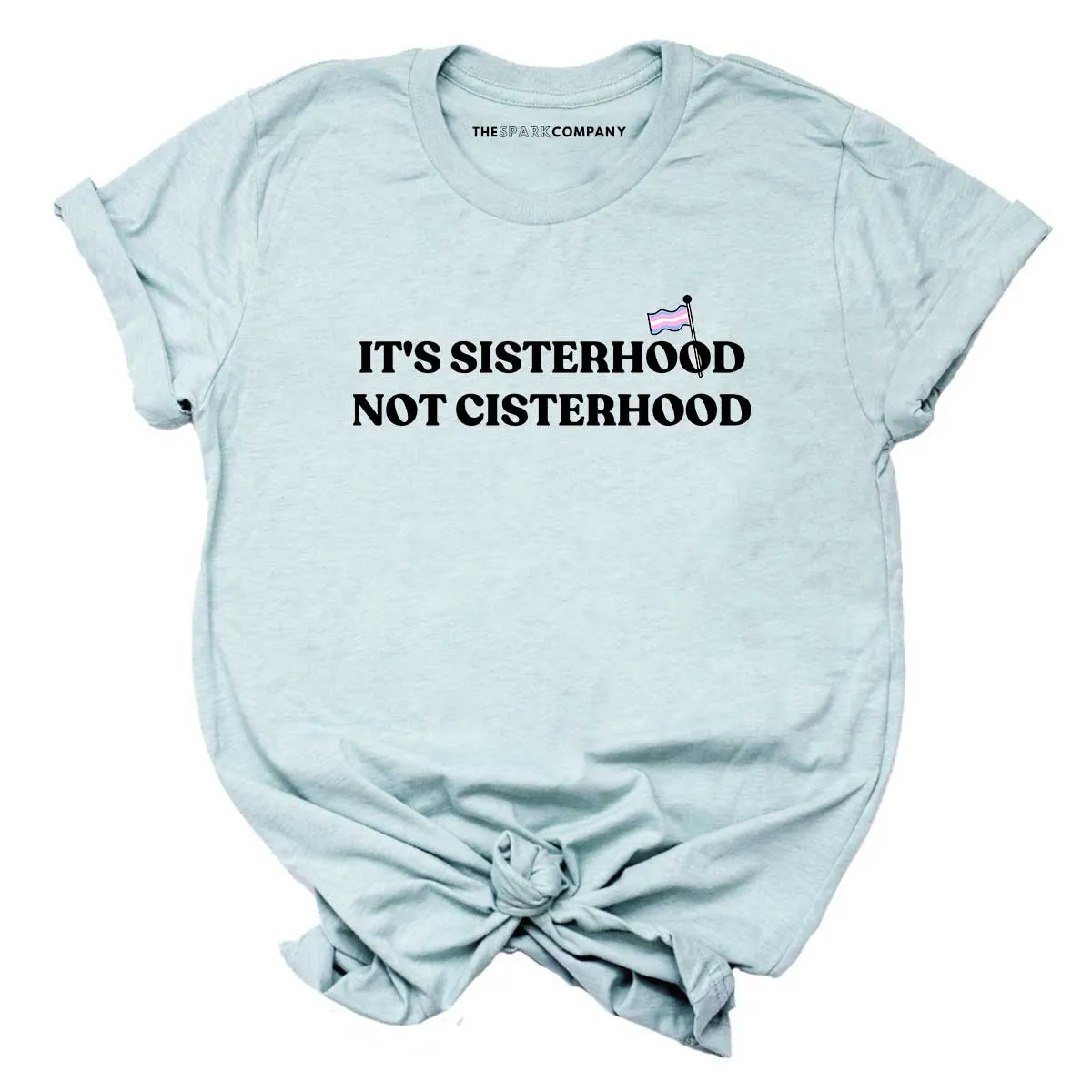 It's Sisterhood Not Cisterhood T-Shirt sold by The Spark Company product image thumbnail 2