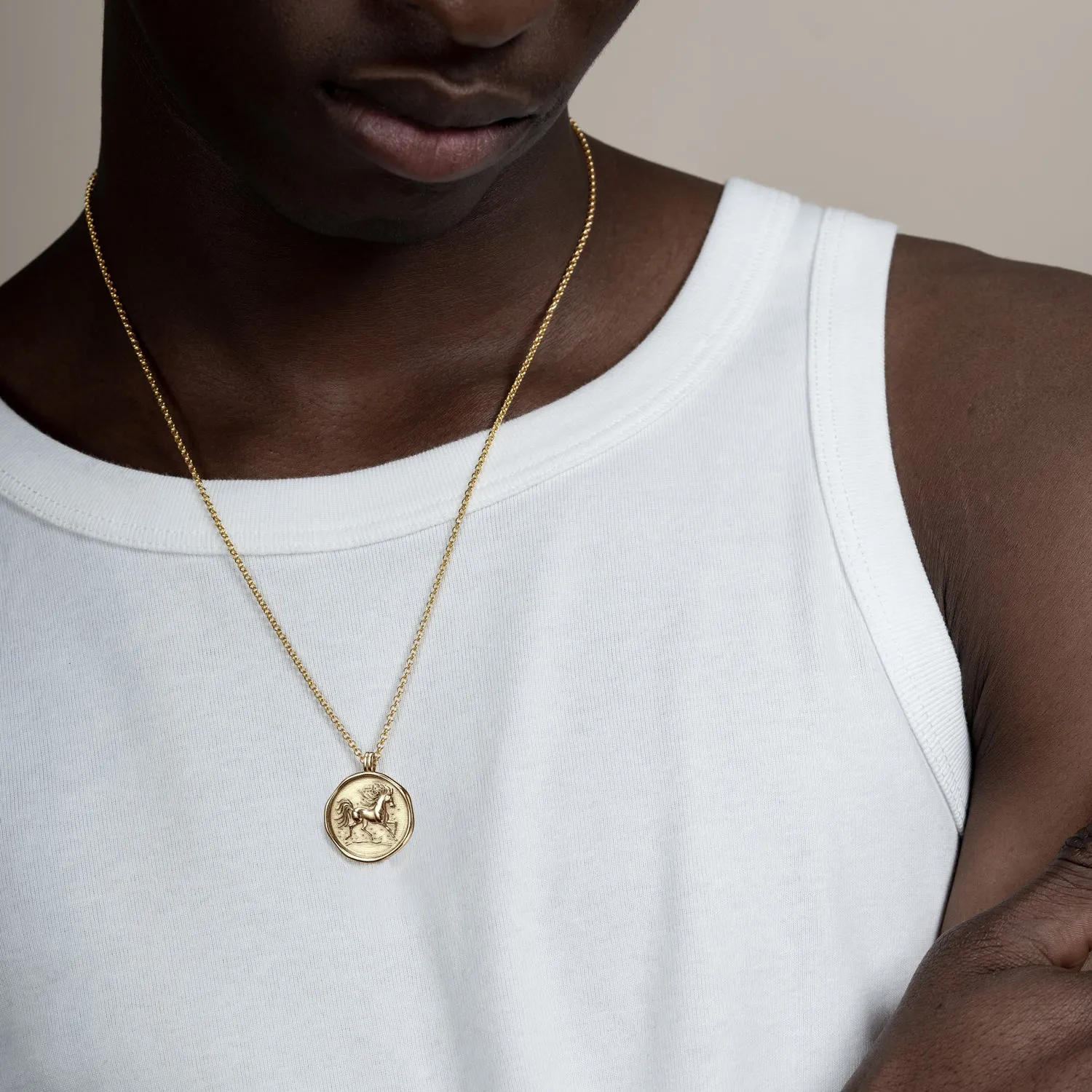 Men's Fire Horse Talisman Necklace sold by Dower & Hall product image thumbnail 5